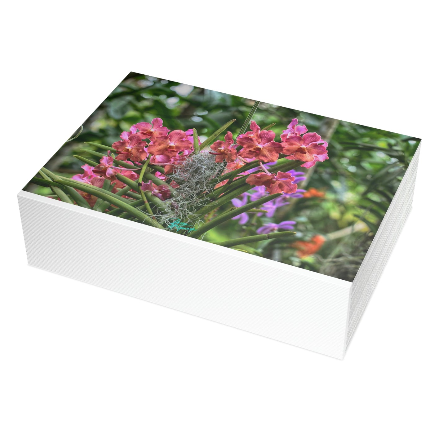 Photo note cards Pink Vanda Orchids, boxed note cards 10 pc