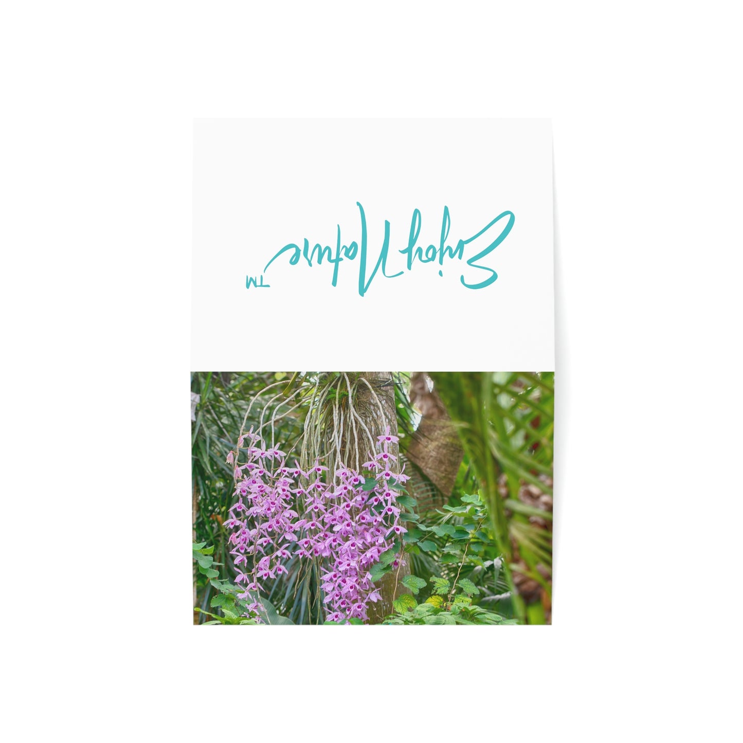 Photo note cards Purple Dendrobium Orchid, boxed note cards, 10 pc