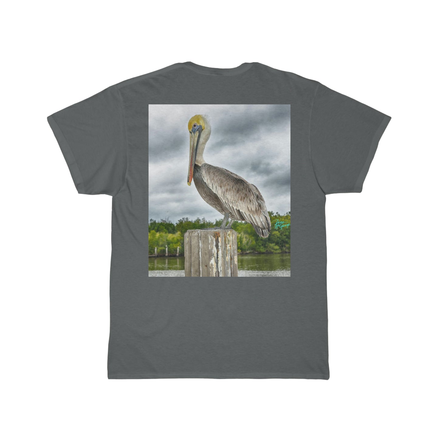 Mens Cotton Tee Shirt, Pelican Short Sleeve, Plus Sizes