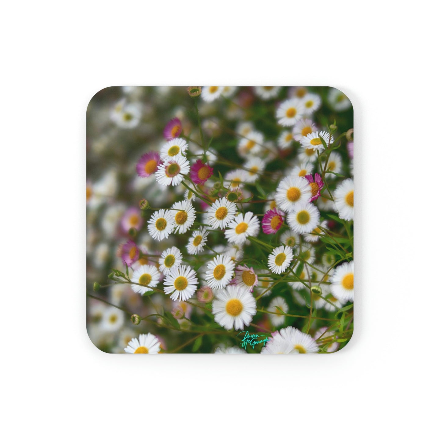 Adare Wildflowers Corkwood Coaster Set