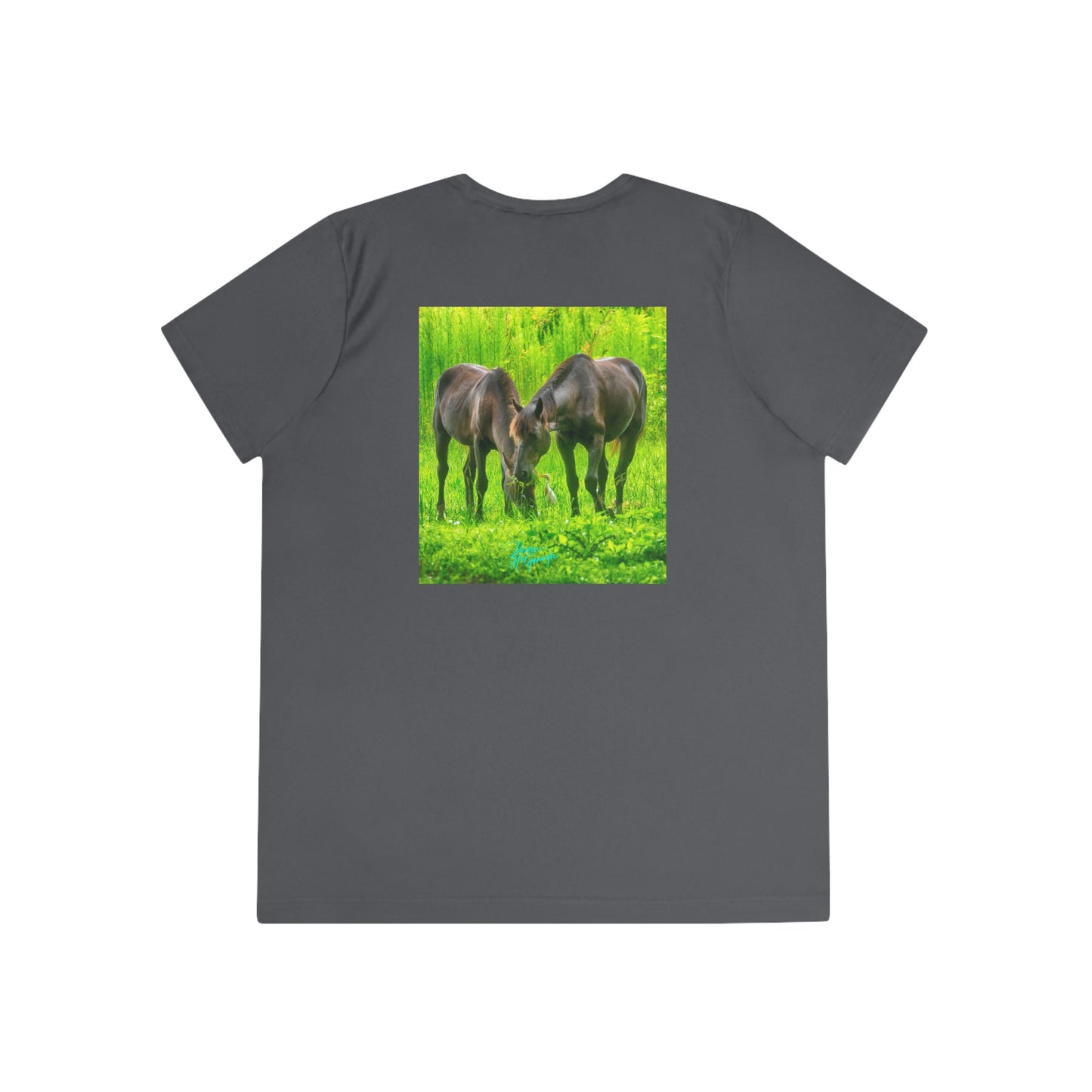 Womens Fitted Tee Shirts Wild Horses 02, Performance shirt