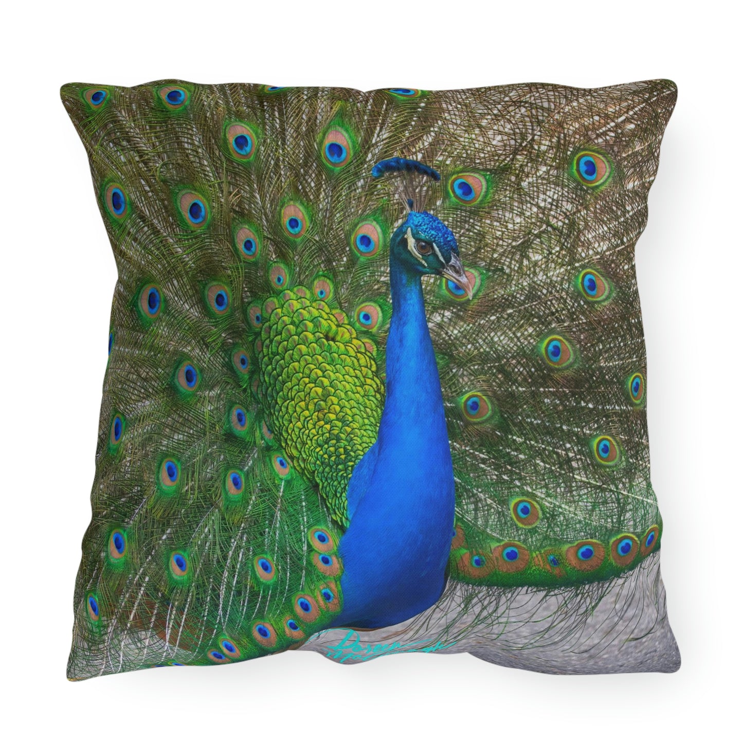 Artistic Outdoor Accent Pillows Peacock Bird