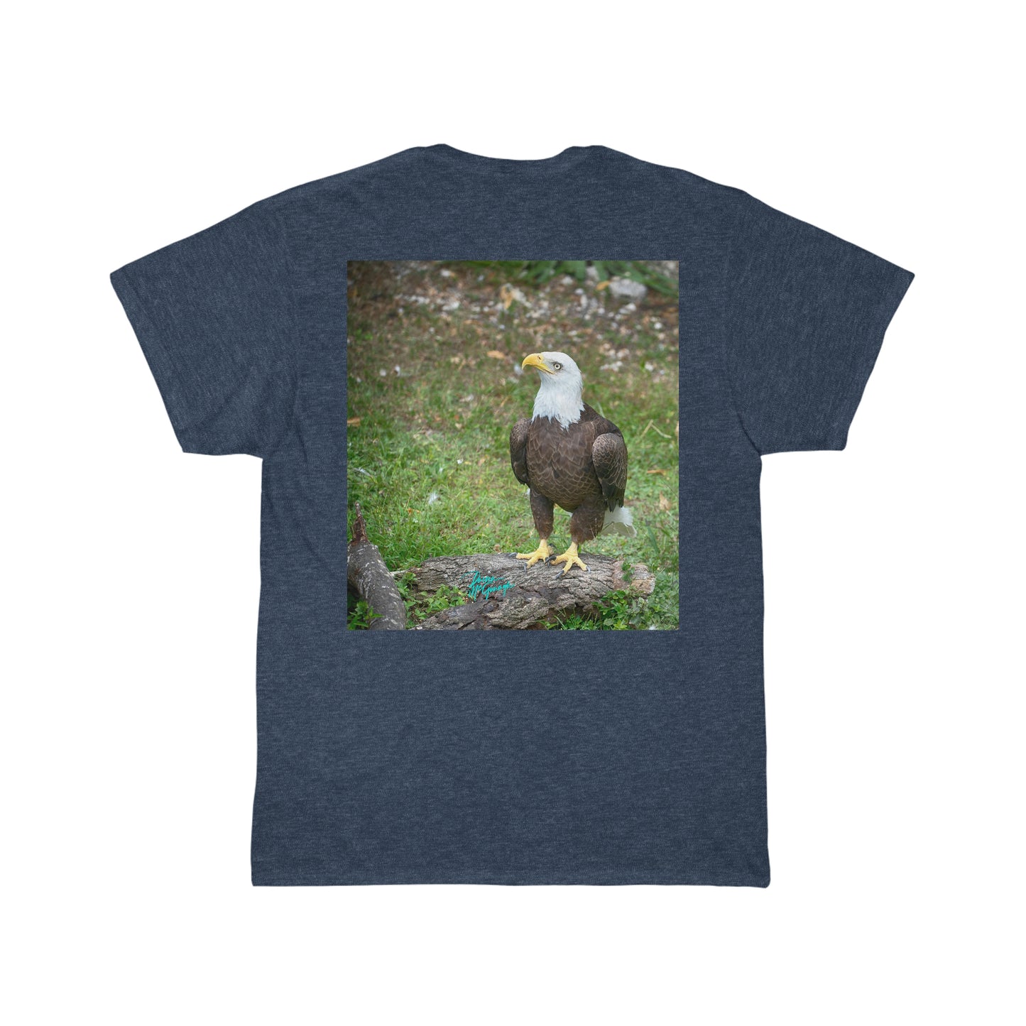 Mens Cotton Tee American Bald Eagle 14, Short Sleeve Plus Sizes