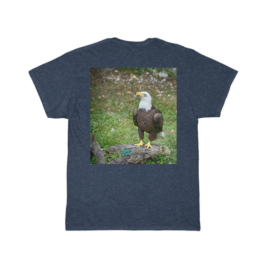 Mens Cotton Tee American Bald Eagle 14, Short Sleeve Plus Sizes