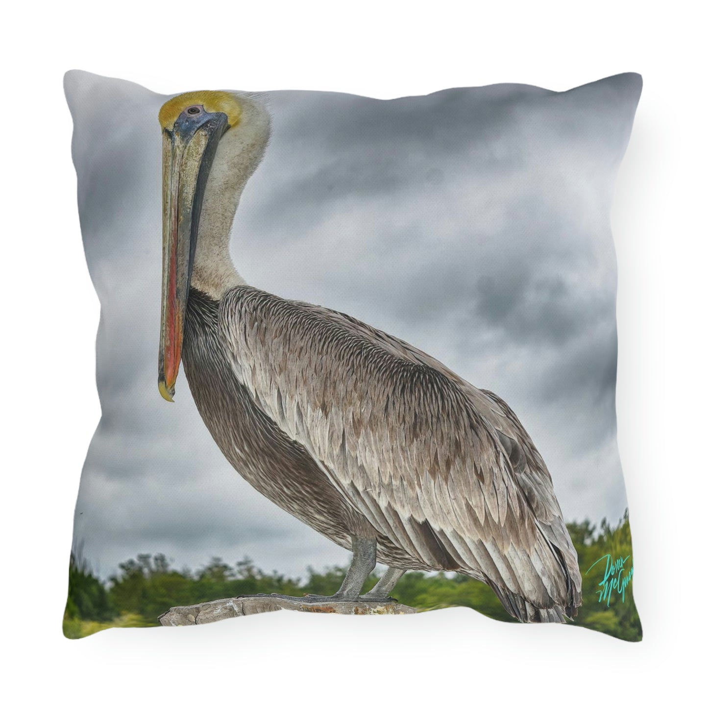 Pelican Bird Artistic Outdoor Accent Pillow