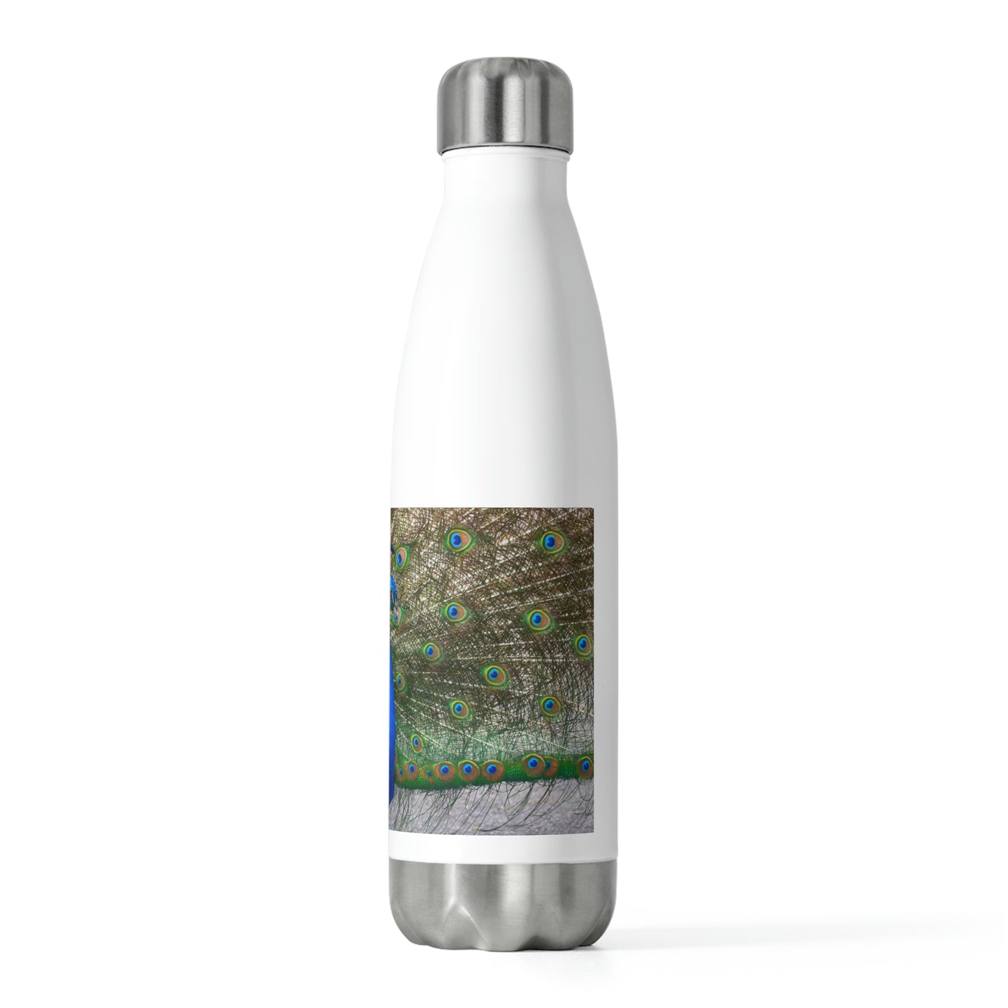 Eco friendly water bottle Peacock Bird 15, 20oz insulated water bottle