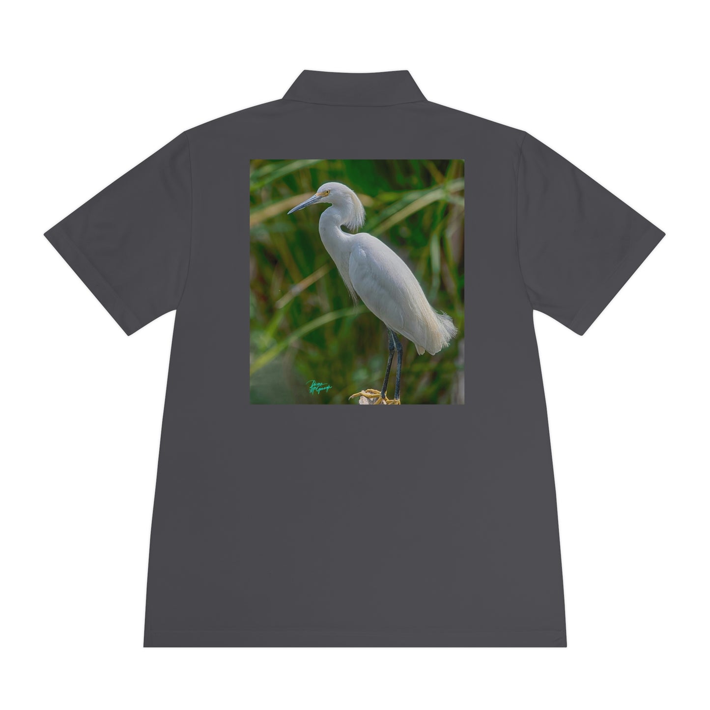 Mens polo shirts Snowy White Egret, performance shirt, plus sizes