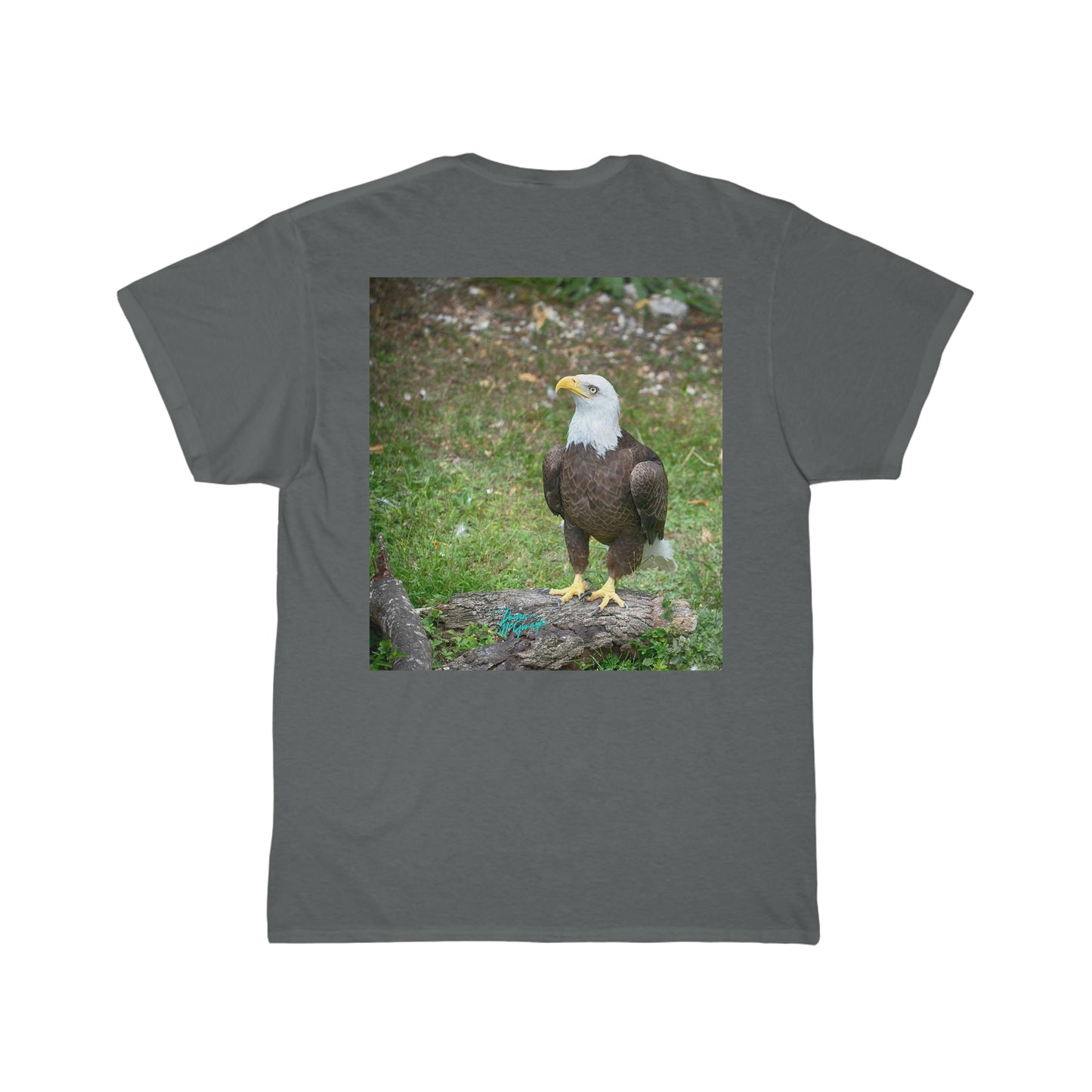 Mens Cotton Tee American Bald Eagle 14, Short Sleeve Plus Sizes