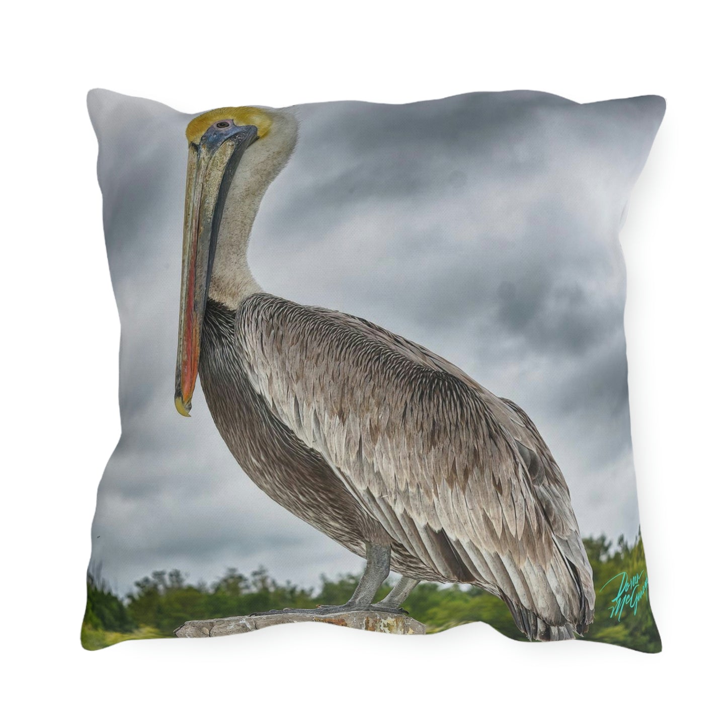 Pelican Bird Artistic Outdoor Accent Pillow