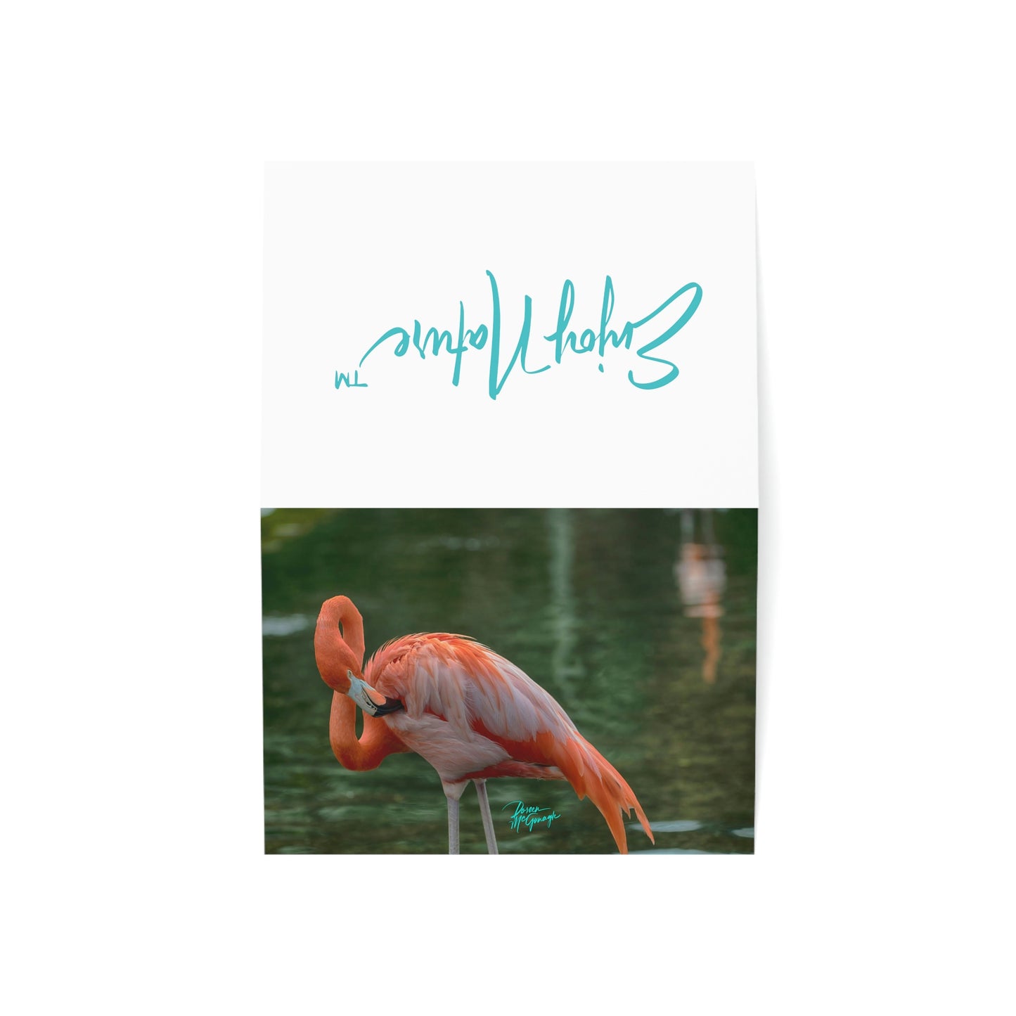 Photo note cards Flamingo Bird, boxed note cards, 10 pc