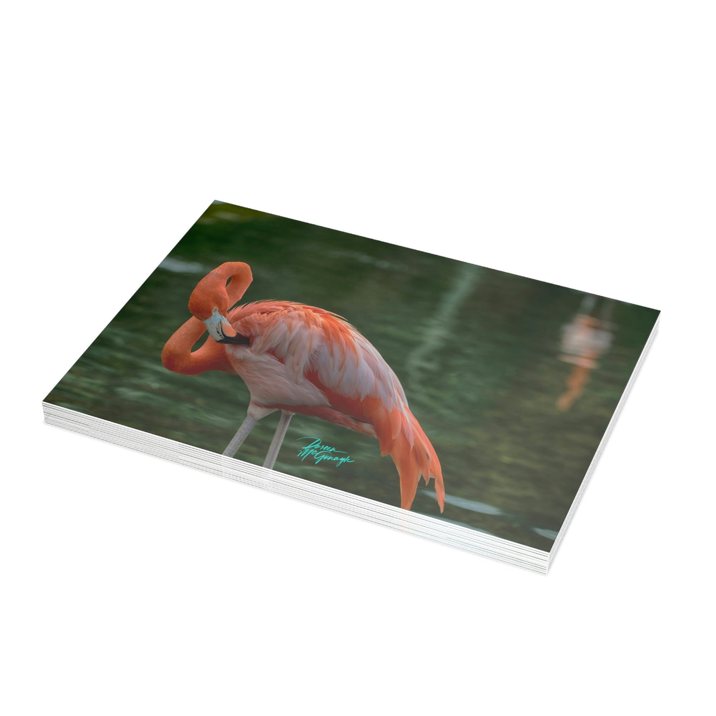 Photo note cards Flamingo Bird, boxed note cards, 10 pc