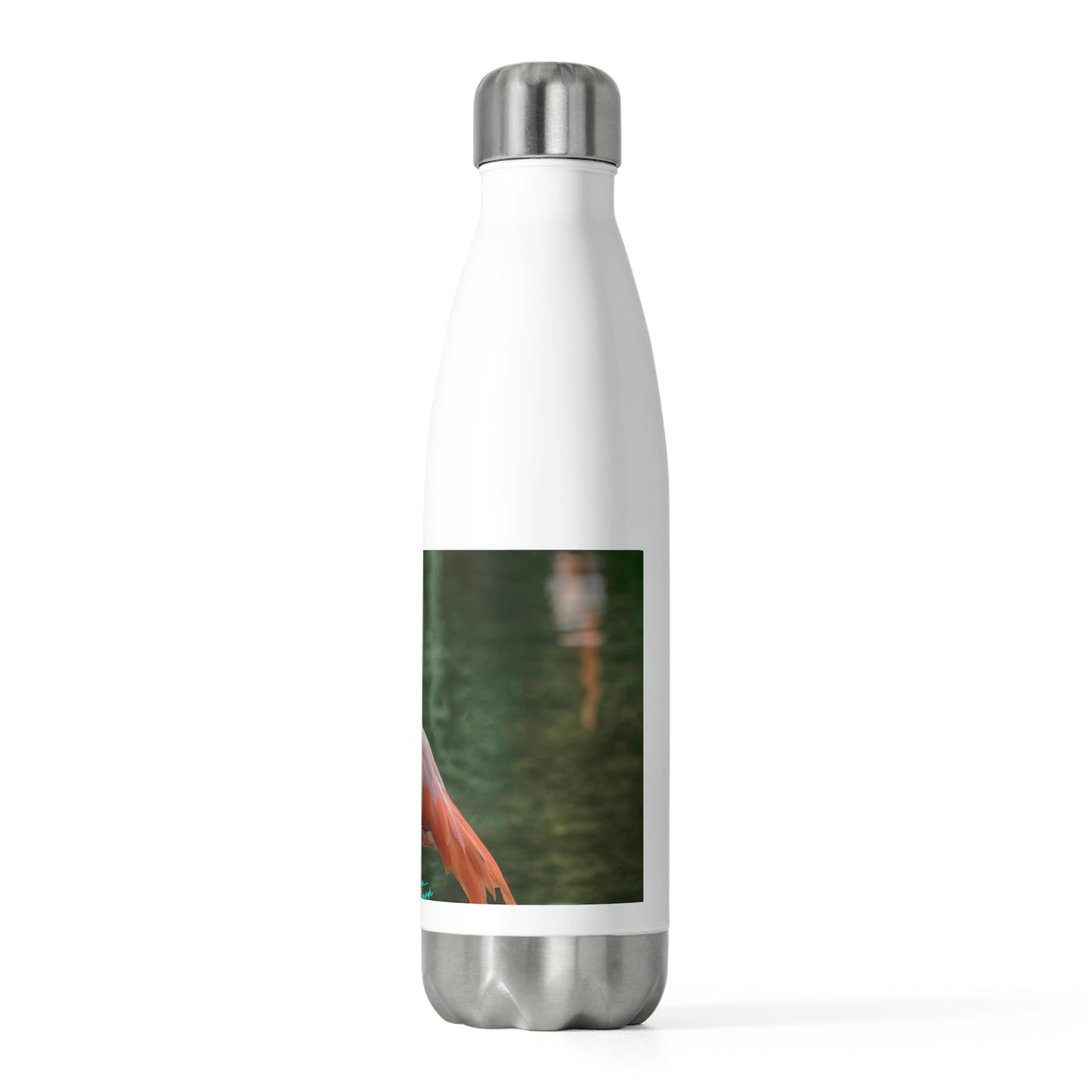 Eco friendly water bottle Flamingo Bird 17, 20oz insulated water bottle