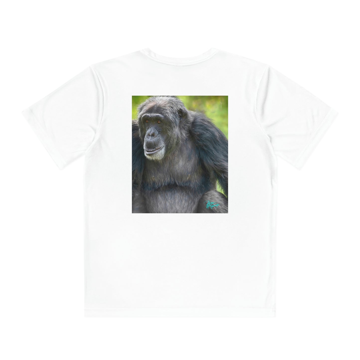 Youth T Shirts, Chimpanzee 07, performance shirt