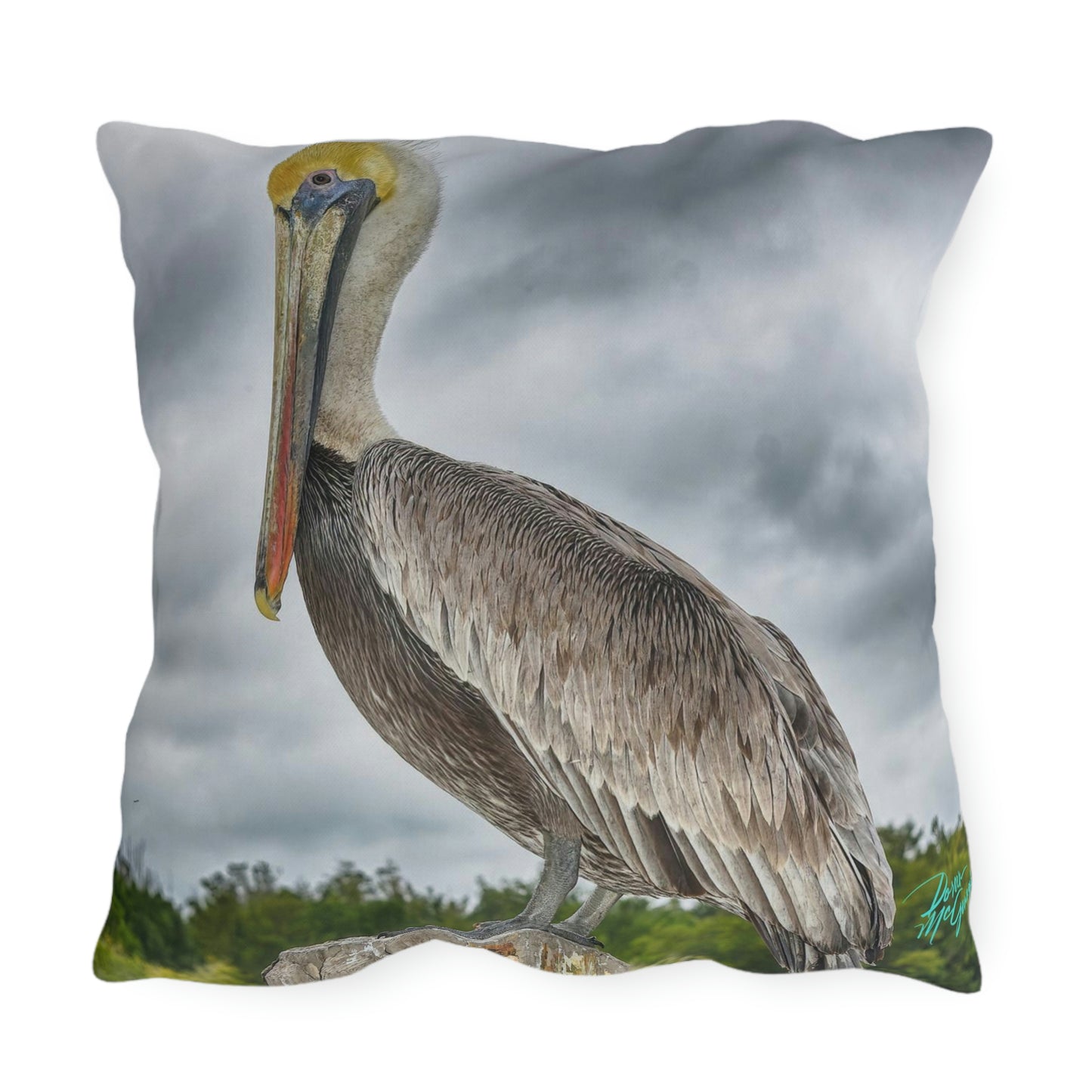 Pelican Bird Artistic Outdoor Accent Pillow