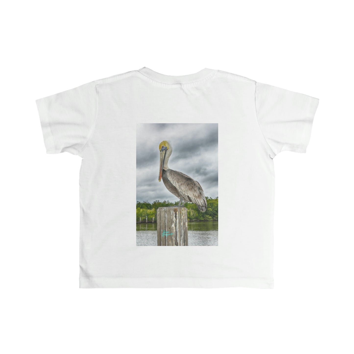 Toddler T shirts Pelican, t shirts for kids, inspired by nature