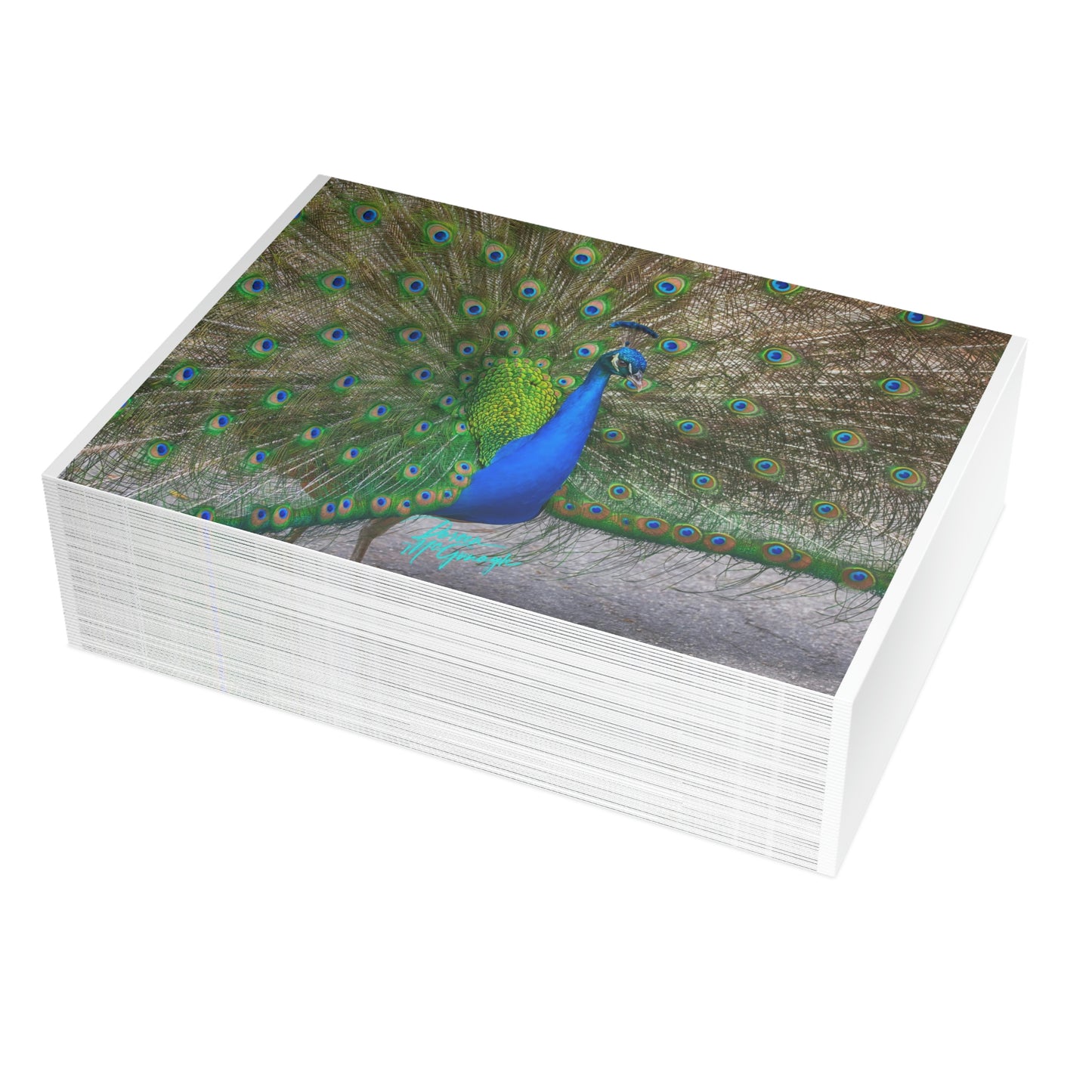 Photo note cards Peacock Bird, boxed note cards, 10 pc