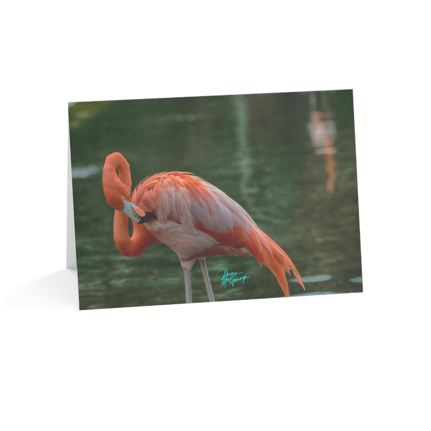 Photo note cards Flamingo Bird, boxed note cards, 10 pc