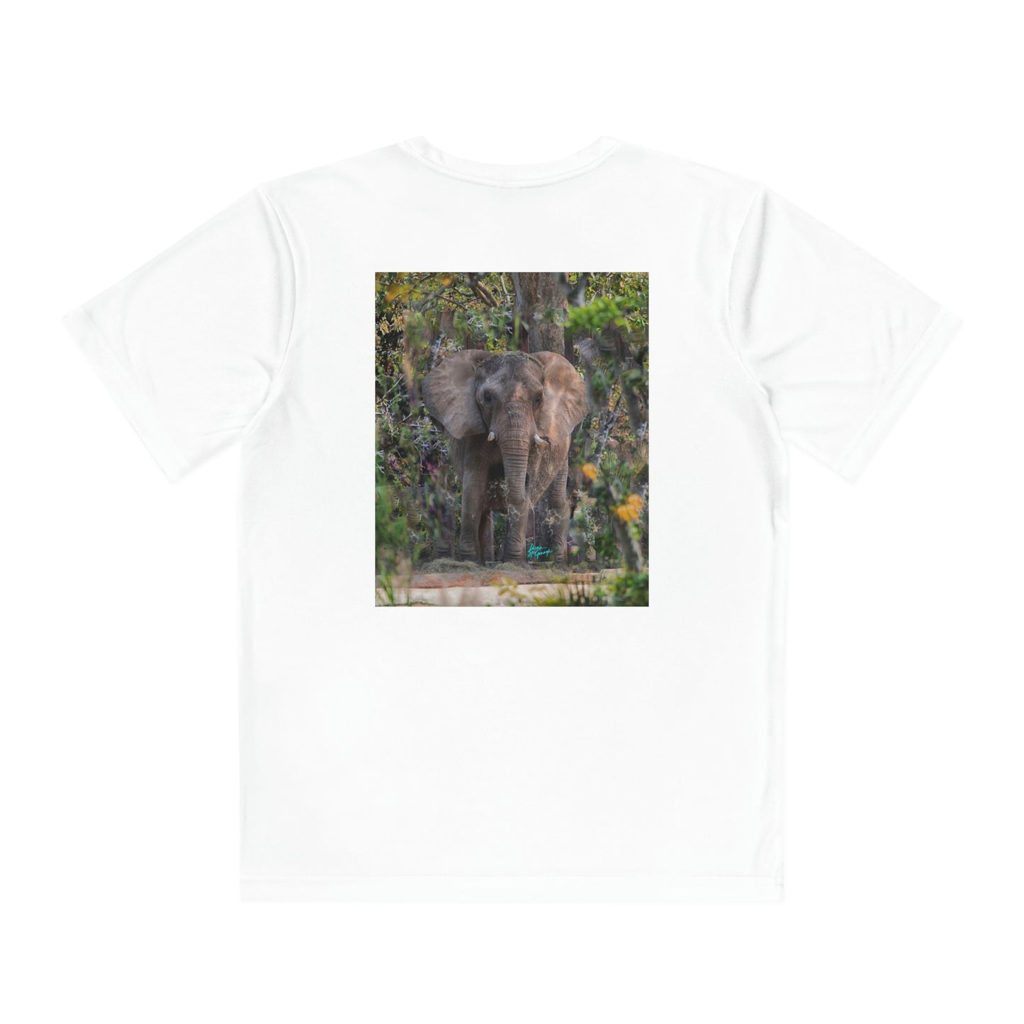 Youth T Shirts, Elephant 12, performance shirt