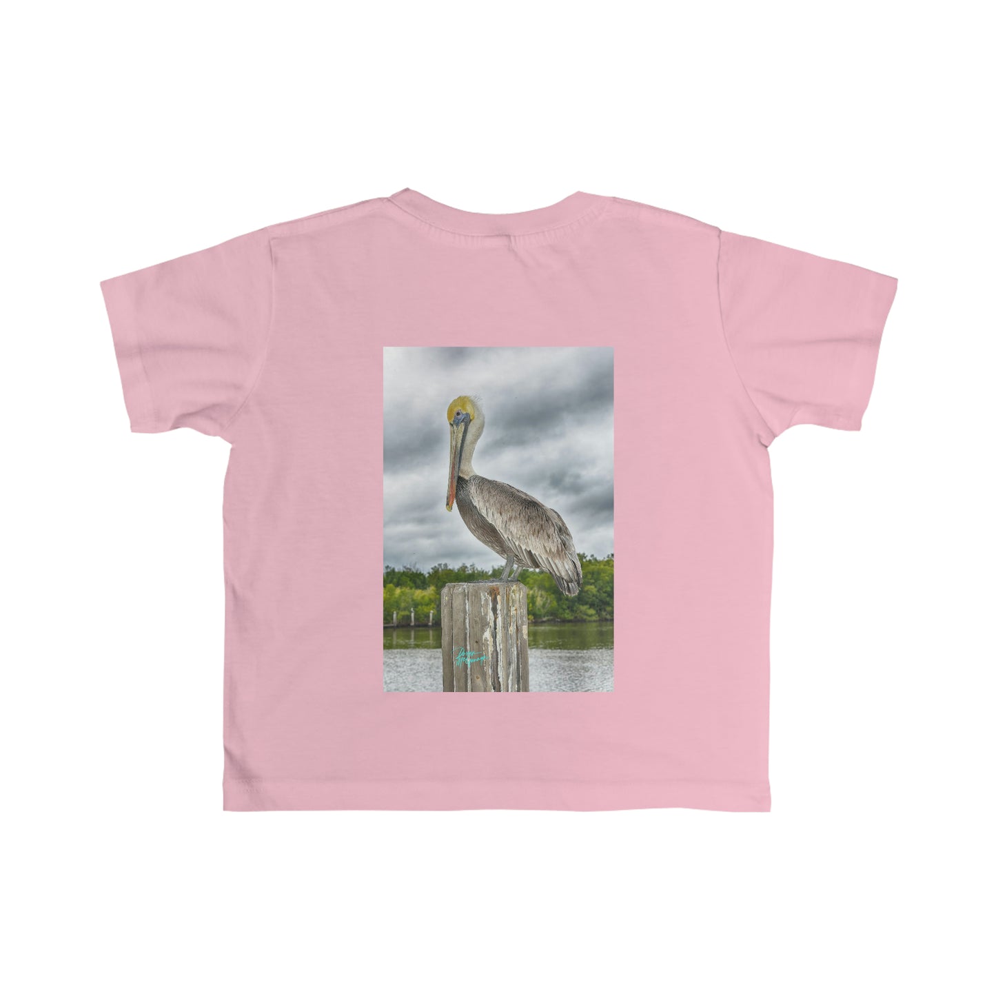 Toddler T shirts Pelican, t shirts for kids, inspired by nature