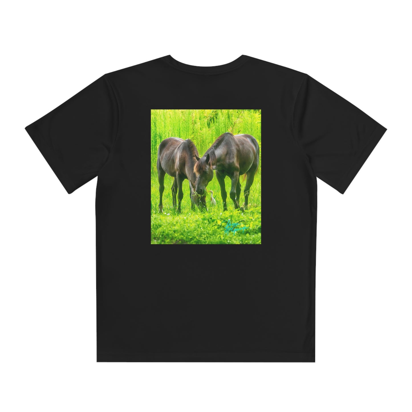 Youth T Shirts, Wild Horses, performance shirt