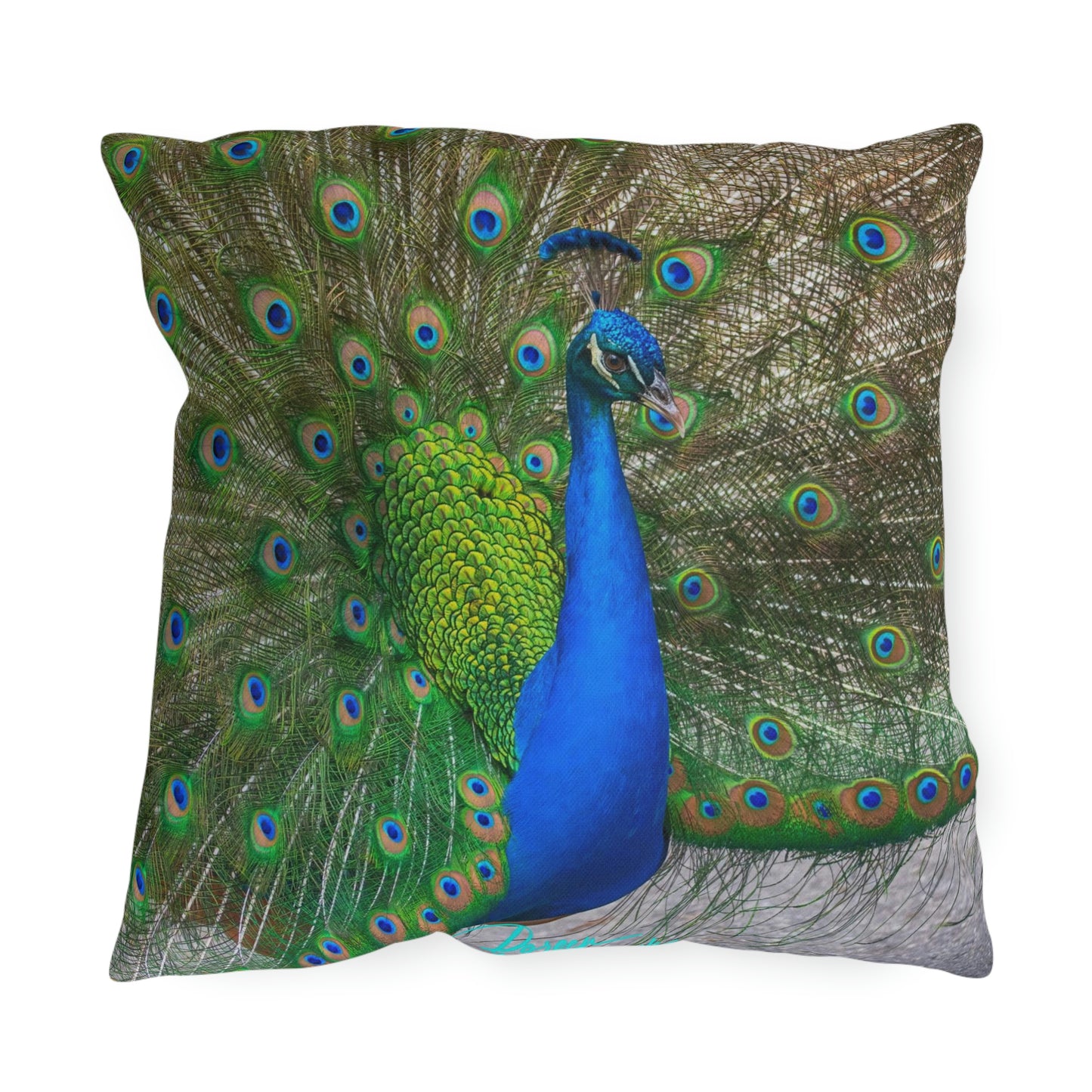 Artistic Outdoor Accent Pillows Peacock Bird