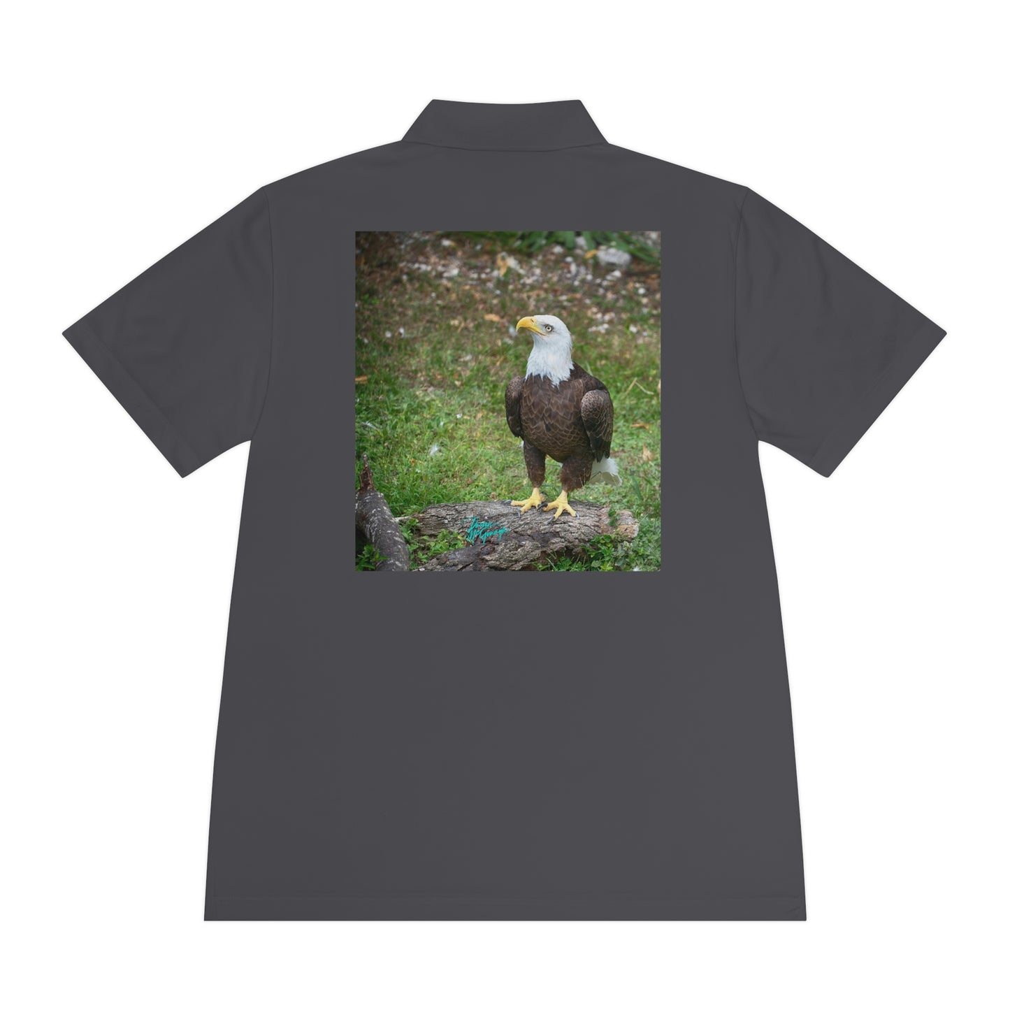 Mens polo shirts Bald Eagle 14, performance shirt, plus sizes