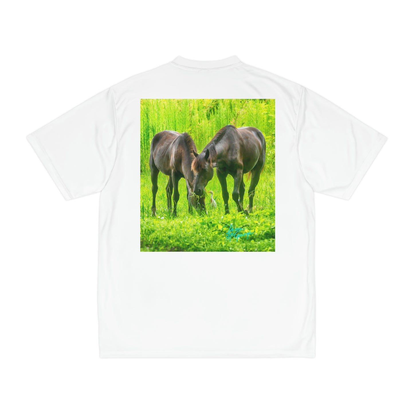 Mens t shirts Wild Horses, performance shirt