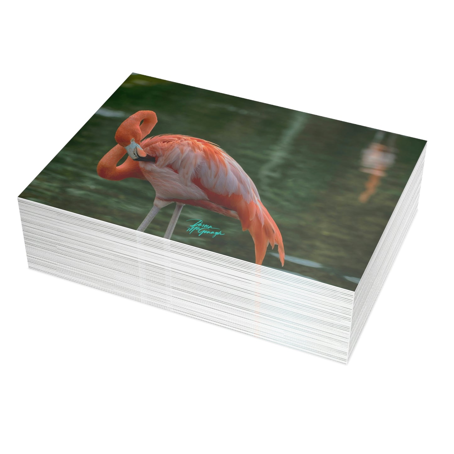 Photo note cards Flamingo Bird, boxed note cards, 10 pc