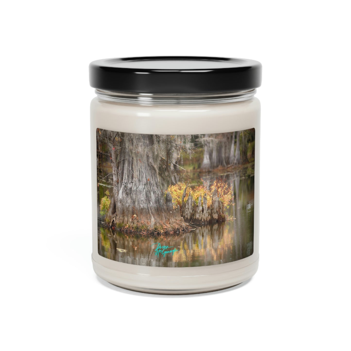 Natural Soy Candles Big Cypress Tree, 9oz, nature inspired decor