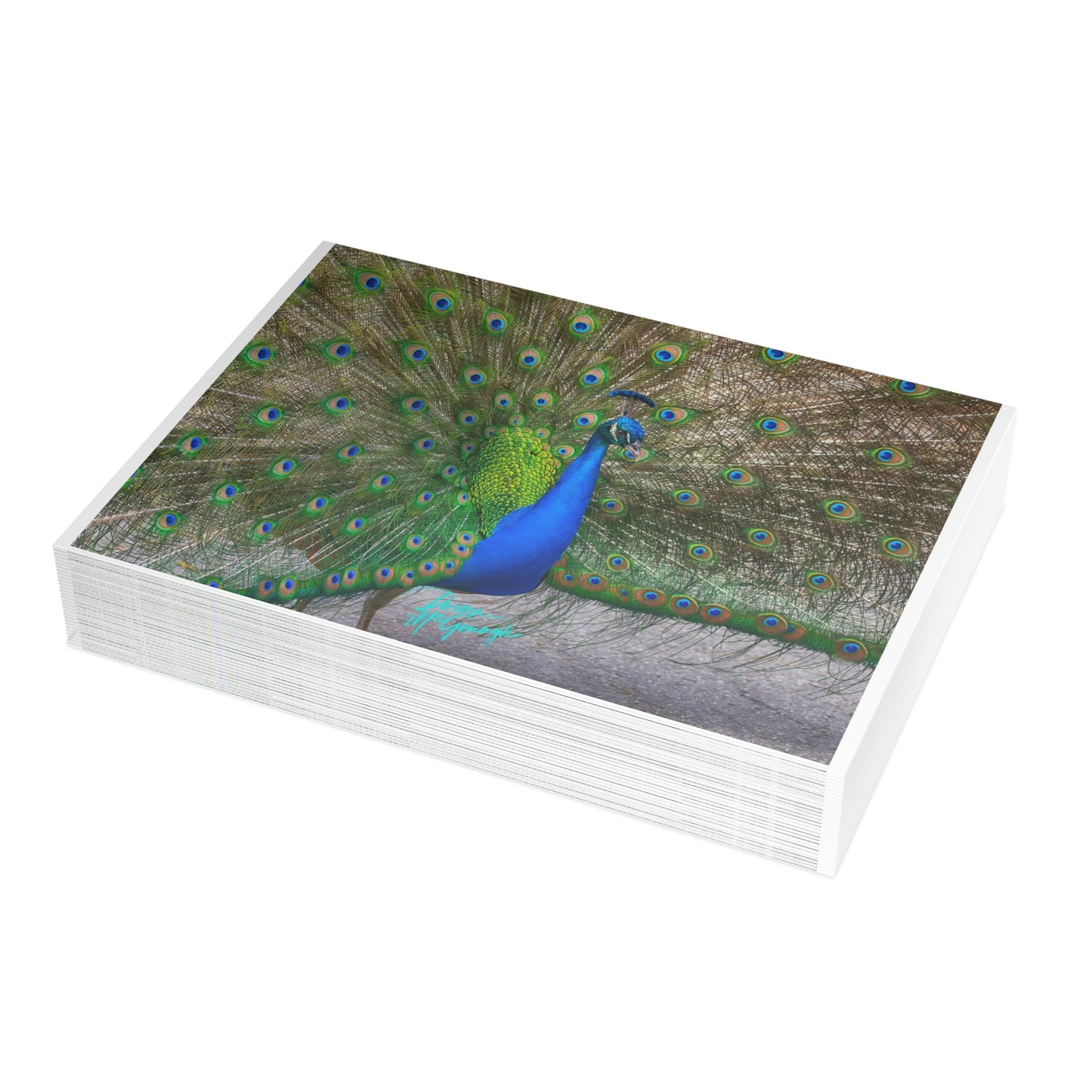 Photo note cards Peacock Bird, boxed note cards, 10 pc