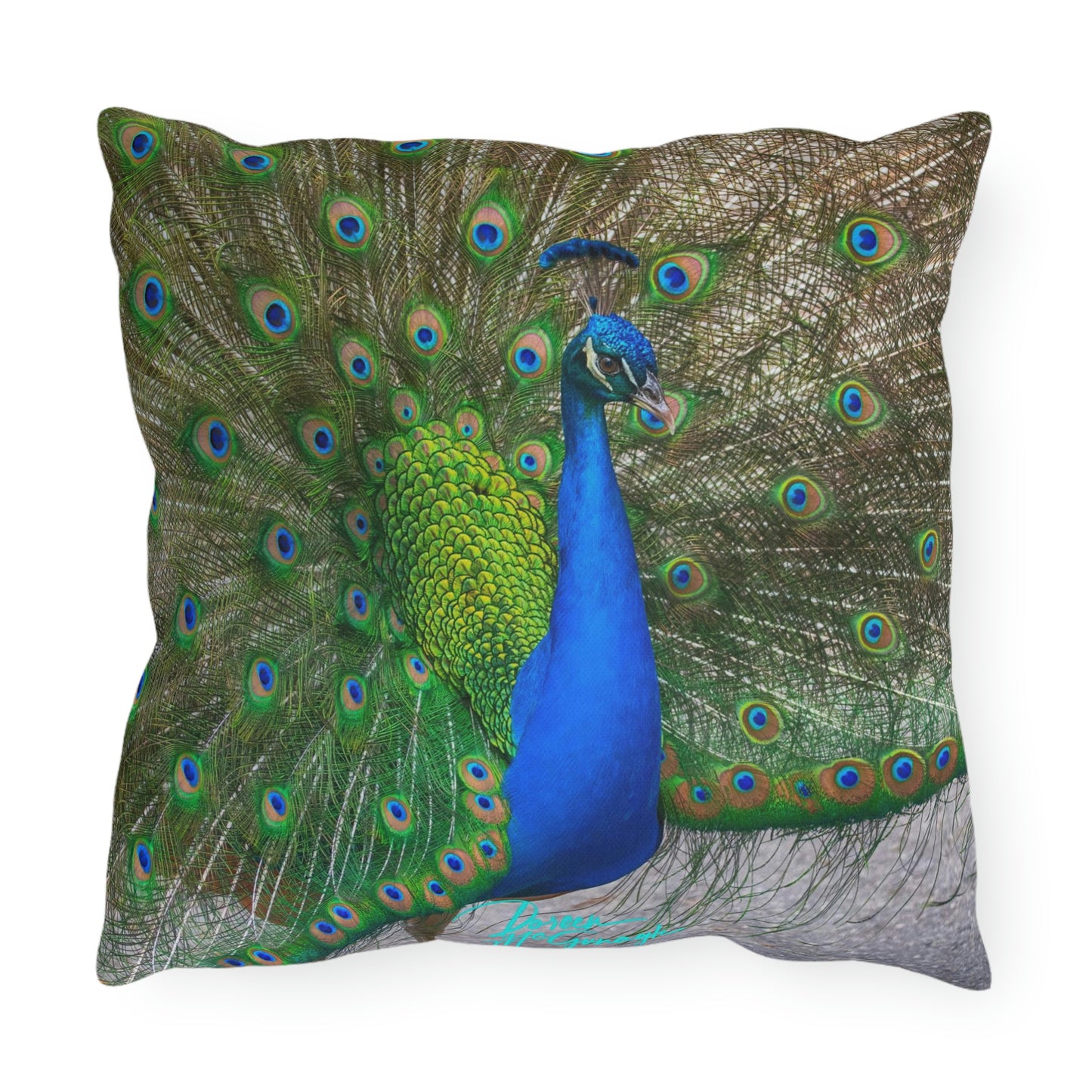 Artistic Outdoor Accent Pillows Peacock Bird