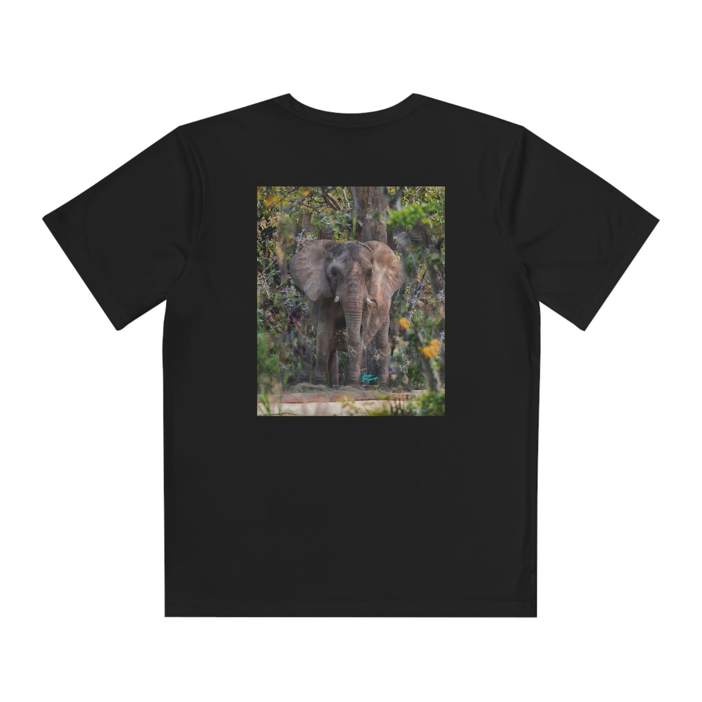 Youth T Shirts, Elephant 12, performance shirt