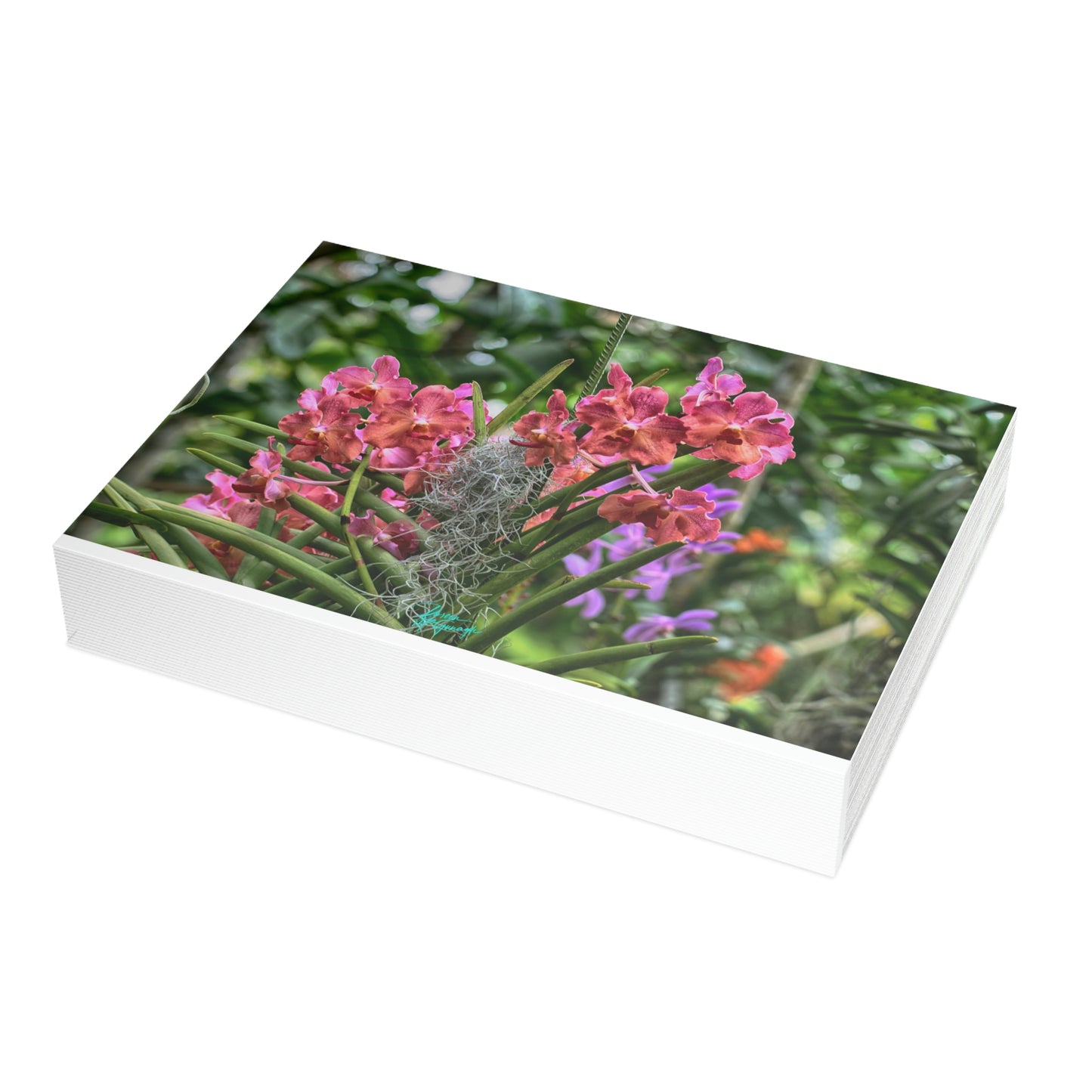 Photo note cards Pink Vanda Orchids, boxed note cards 10 pc