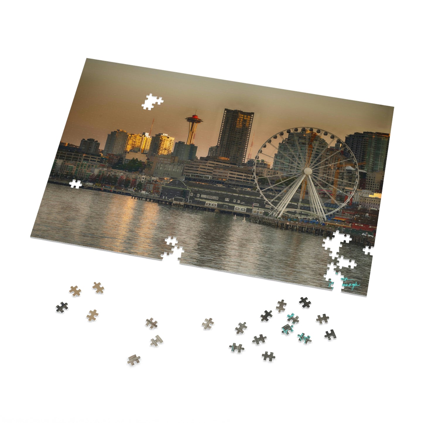 Nature Puzzles, Seattle Space Needle, Inspired by nature