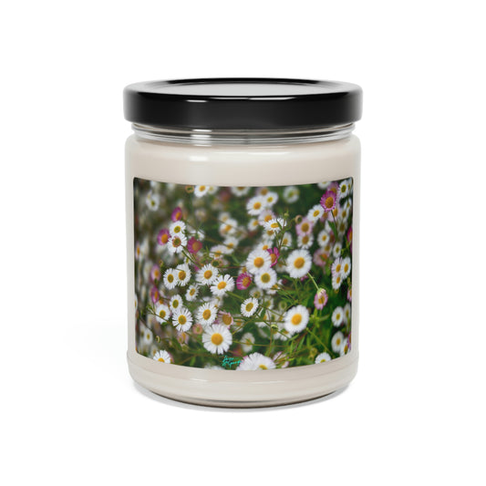 Natural Soy Candles Adare Wildflowers, 9oz, nature inspired decor