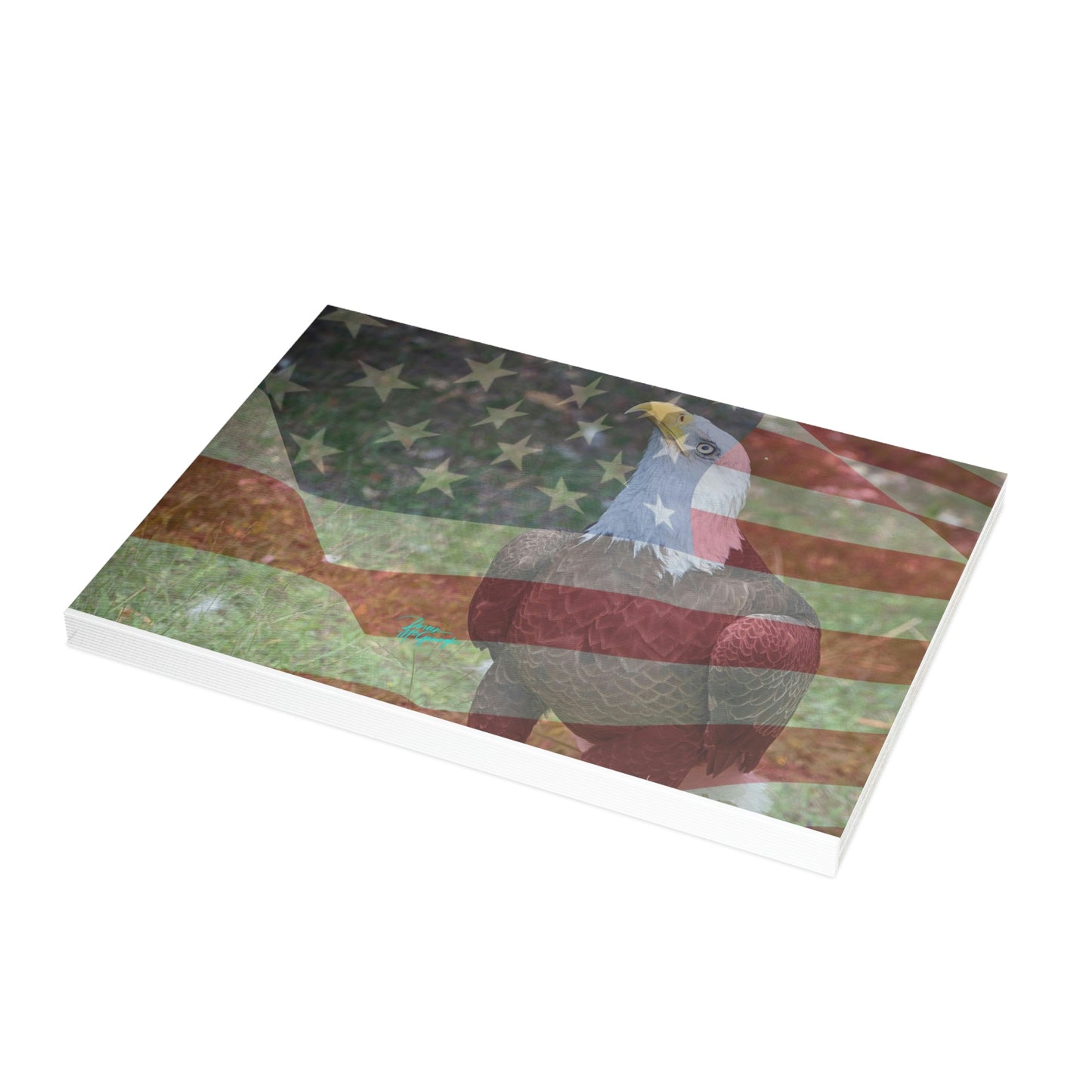 Photo note cards Patriotic Bald Eagle with American Flag, boxed note cards, 10 pc