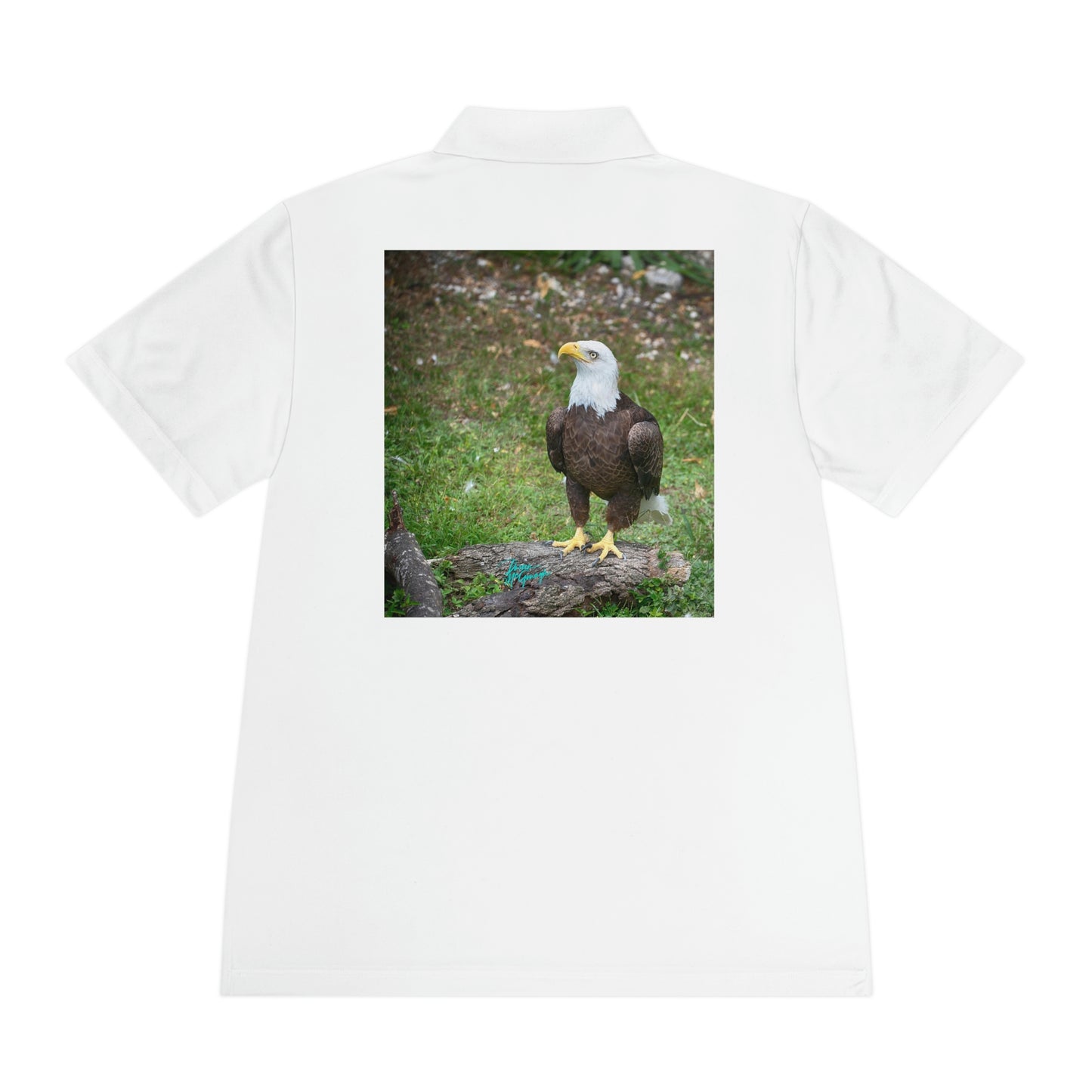 Mens polo shirts Bald Eagle 14, performance shirt, plus sizes